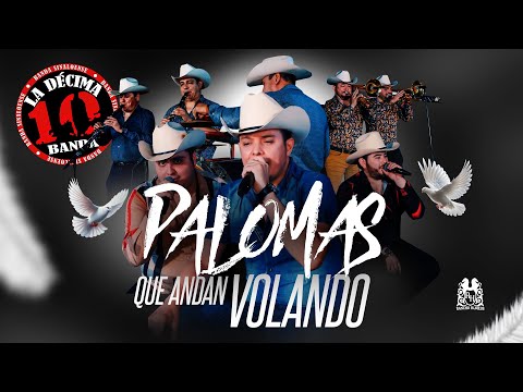Miniatura de Palomas Que Andan Volando (En Vivo)