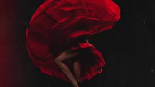 Mariana Bo vs Adam Trigger vs Hugel - Ole Ole Ole (Xkuse Mashup)