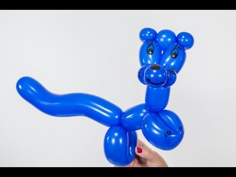 Patrycja Lipińska dla Dzieci - # 25 Balonowy kotek, warsztaty balonowe, lekcja Balonowa