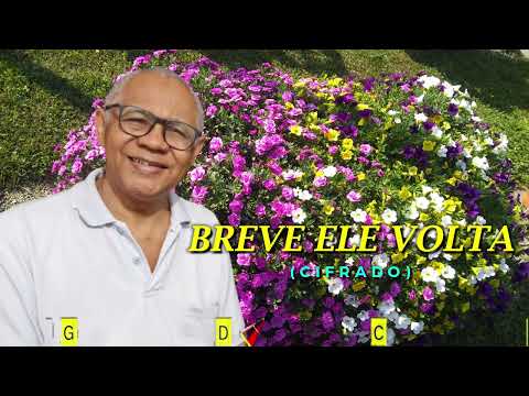BREVE ELE VOLTA - 550. HARPA CRISTÃ - (CIFRADO) - CARLOS JOSÉ