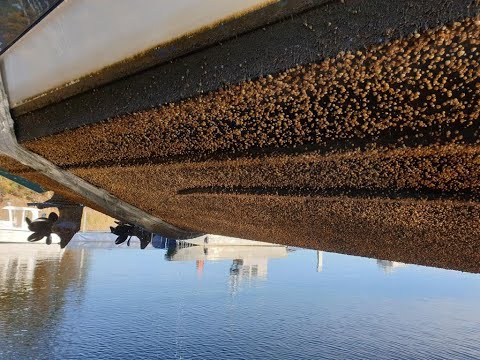 How to remove barnacles from your boat