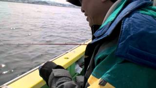 新修丸のイメージ