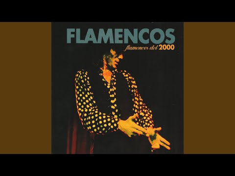 Tanguillos de Cádiz