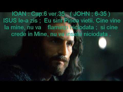 GRUPUL SION .................( vocea lui  )