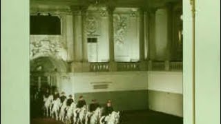 The Spoons - Nova Heart - Razormaid Remix (Remastered) 👂