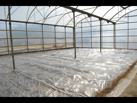 Best4Soil: (Bio)Solarisation – Practical Information