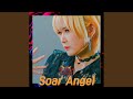 Soar Angel