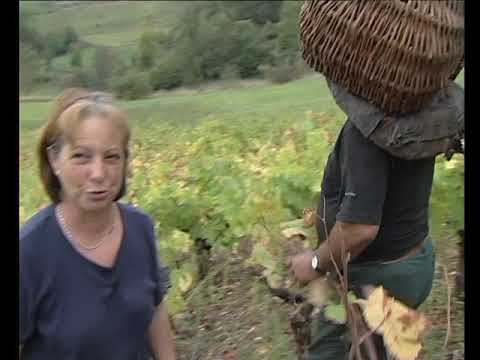 Coissin e panièr carrejador