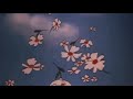 Frank Ocean Skyline To Slowed Reverb
