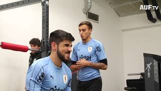 Gimnasio del MTK Budapest FC Stadium - 13/11/19