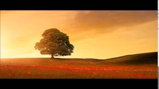 THE LONGEST SUMMER - PAT METHENY GROUP