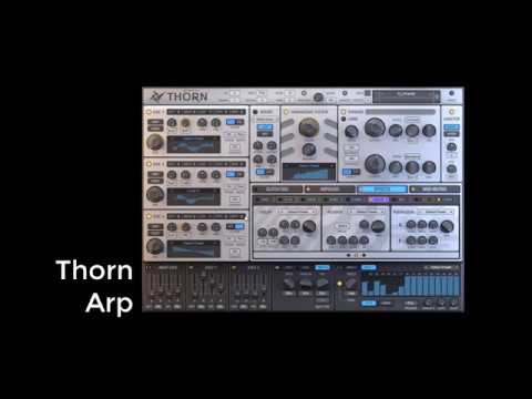Dmitry Sches Thorn Arp