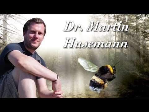 , title : 'Hummeln und Hamburger Hafen - Dr. Martin Husemann'