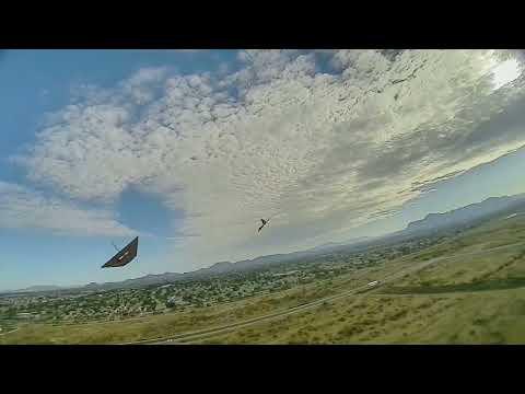 A Fever of Stingrays was Spotted // Fixed Wing FPV // DJI