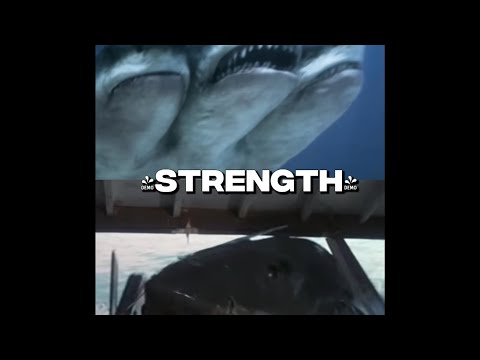Bruce VS Three Headed Shark