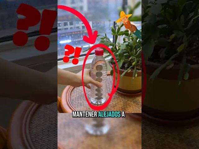 Vídeo relacionado con Gran manual de trucos y magia: Secretos para asombrar y divertir