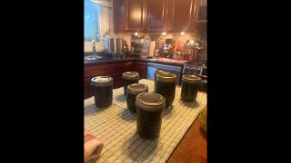 Watch Me Can Lemon Blueberry Jam LIVE! | Beginner-Friendly, Step-by-Step