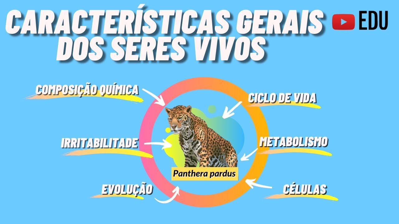 Características Gerais dos Seres Vivos | ANIMAÇÃO