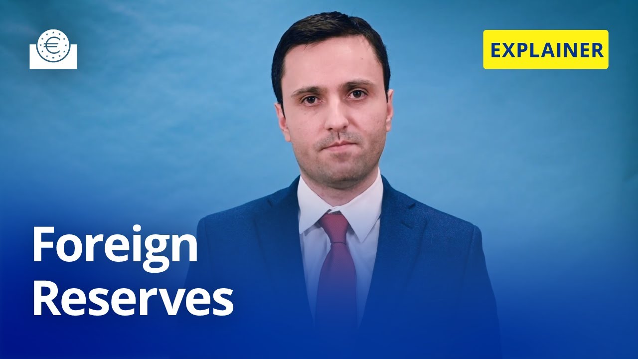 The ECB Explains: foreign reserves