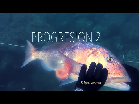 "PROGRESIÓN 2"- Diego Álvarez - // Pesca submarina en Asturias 2017 // Spearfishing North Spain