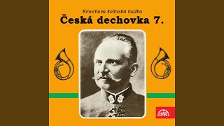 Česká muzika Česká muzika