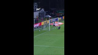 GOL QUE DEU A VITÓRIA PARA O GOIÁS CONTRA O CRICIÚMA!