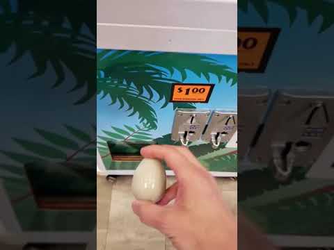 Trying to Unlock the Prize Door - Mystery Egg Game...