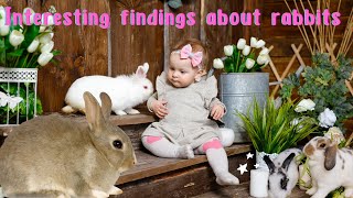 The Most Interesting Discoveries About Rabbits !!!  #rabbitstory
