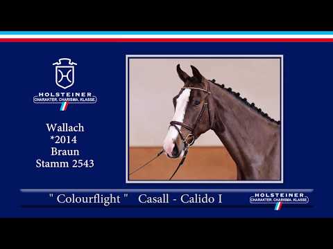 106 | Colourflight v. Casall - Calido I