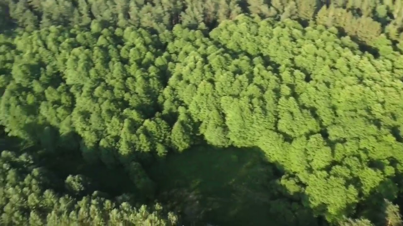 Dobrzyca Olszynowy Zakątek