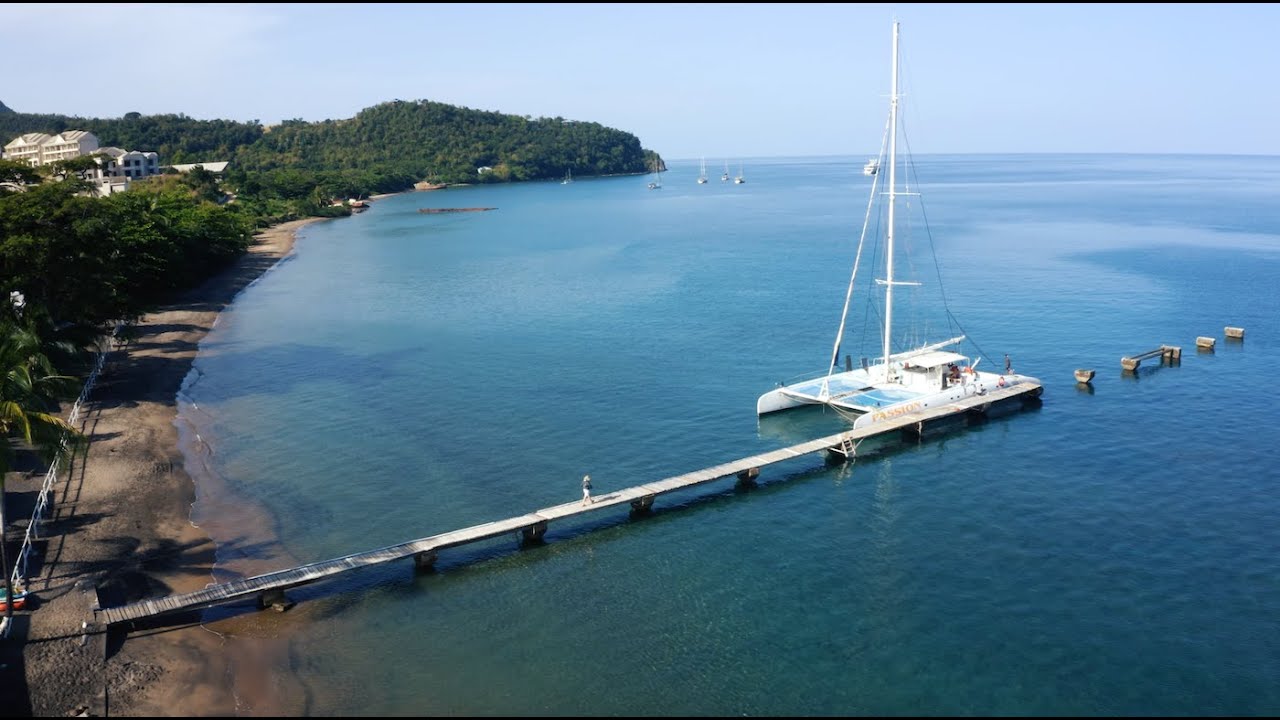 Tessa Campbell Fraser FRSS #sculptor #whales #environment