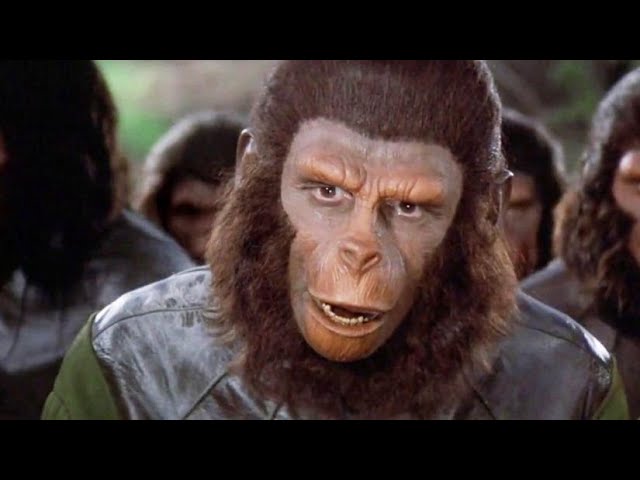 A Fuga do Planeta dos Macacos 1971 Trailer