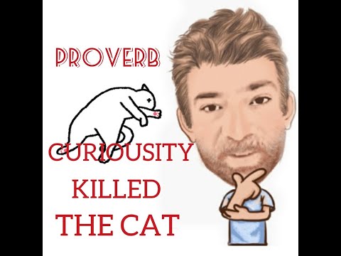 English Tutor Nick P Proverbs (282) Curiosity  Killed the Cat - Origin