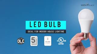 LED Light Bulbs on Sale