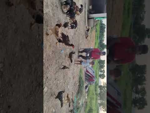 manideep with kopilla