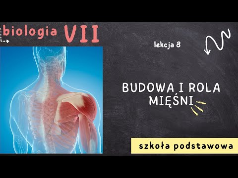 Biologia 7 [Lekcja 8 - Budowa i rola mięśni]