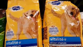 Please do not forget your dogs and cats  this holiday season!