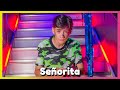 Señorita - Shawn Mendes, Camila Cabello [Official Music Video] | Mini Pop Kids