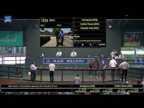 2021 Magic Millions Yearling Sale Day 7