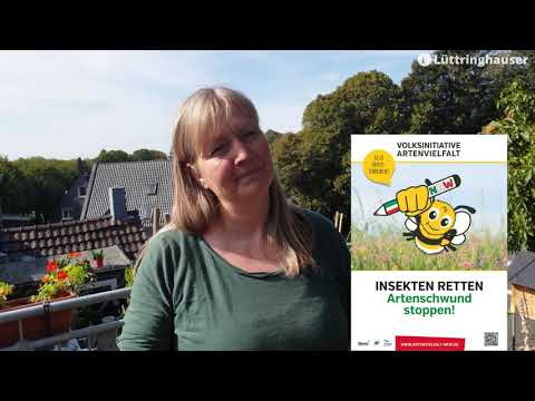 Bienen auf der Dachterrasse und Erhalt der Artenvielfalt