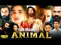 Animal Full Movie In Hindi Ranbir Kapoor Rashmika Mandanna South Full Movie