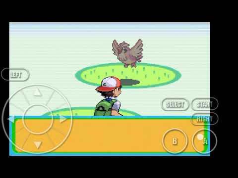 Pokemon naranja (ep-3)fighting with trece