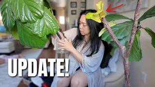 ONE MONTH UPDATE! + The Best Gift EVER! - @itsJudysLife