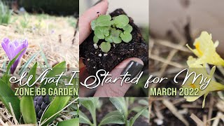 March Seedling Update | Relaxing Garden Vlog #zone6b
