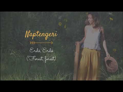 Naptengeri - Erdő erdő (Forest, forest)