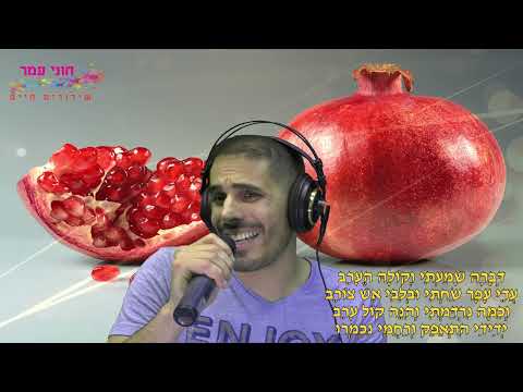 חוני עמר - לפלח הרימון