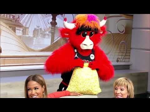 Benny the Bull visits ABC7, Chicago Bulls tickets go on sale Thursday