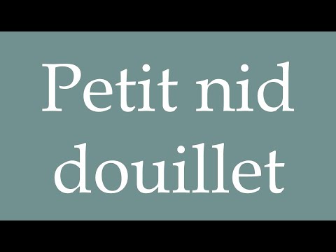 How to Pronounce ''Petit nid douillet'' (Little cozy nest) Correctly in French