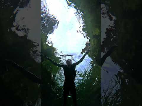 [3DS vs GOPRO] UnderWater Videography Showdown!