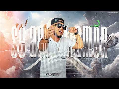 Se Acabo El Amor - Waylam Zebas  ( Visualizer ) Skorpion Disco Show
